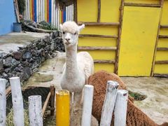 -西部长青自然儿童乐园