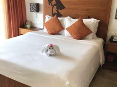 -三亚湾红树林度假世界(木棉酒店)