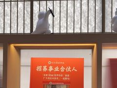 -长风拨筋养身(金虹桥店)