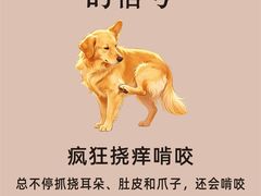 -瑞鹏宠物医院·骨外科·心肾科·肿瘤科(九亭店)