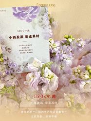 -宝媛会月子中心(越秀店)