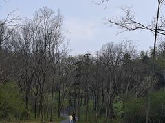 -宜兴龙背山森林公园