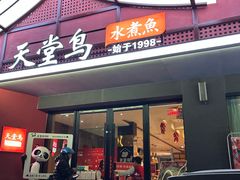-天堂鸟水煮鱼·品质川菜(凤凰路店)