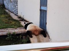 -大青山野生动物园