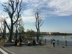 -上海长兴岛郊野公园