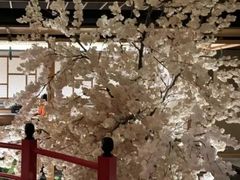 -裕龙汤泉
