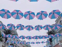 -芜湖新华联大白鲸海洋公园