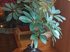 -鸥迪足道(湖南示范店)
