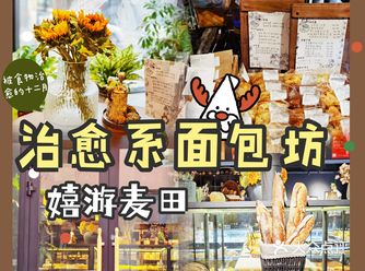 乌鲁木齐宝藏面包坊｜南湖治愈系嬉游麦田