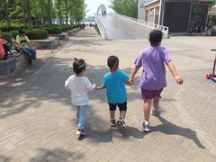 -大兴滨河森林公园