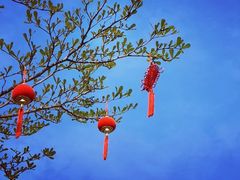 -香蜜公园