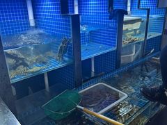 -金龙·打边炉(武进路店)
