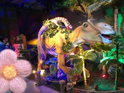 -恐龙探索乐园(磁器口店)