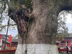-新安江山水画廊风景区