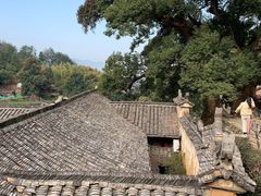 -杨家堂村