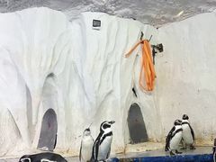 -太平洋海底世界