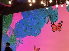 大堂-蝴蝶里·粤菜·点心(滨江龙湖店)