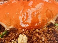 -喜记避风塘炒辣蟹(旗舰店)