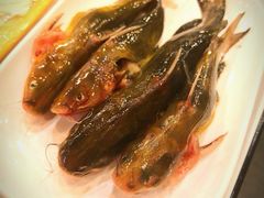 -川成串·自助串串香火锅(朝阳店)