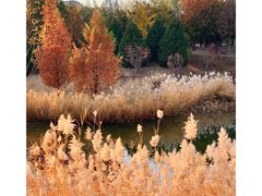 -中关村生命科学园