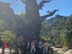 -楠溪江风景名胜区