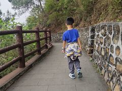 -羚羊峡古栈道森林公园