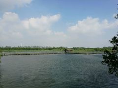 -溱湖国家湿地公园