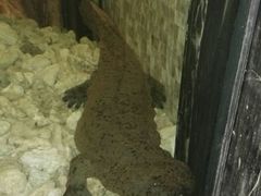 android_upload_pic-珍宝轩海鲜火锅(碧湖大厦店)