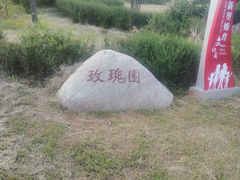 -九龙湖公园