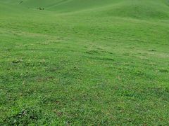 -新疆那拉提国家旅游度假区