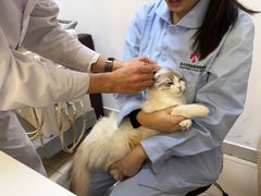 -全心全意连锁动物医院·特色中医诊疗(会城门分院)