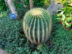 -国家植物园南园