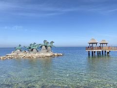 -养马岛旅游度假区