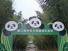 -都江堰中华大熊猫苑