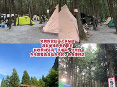-重庆睡佛山森林公园