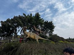 -自贡恐龙博物馆