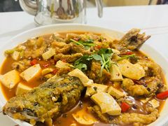 -煲来饱去冷水鱼