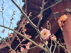 -里运河文化长廊-御码头