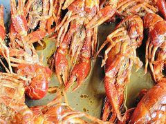 -聚味瞿记·龙虾堂(树木岭店)