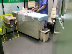 -半岛宠物医院24小时(科华中路店)