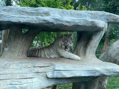 -北京野生动物园