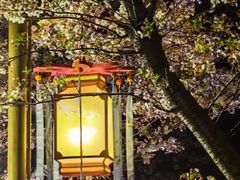 -长田漾湿地公园