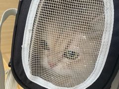 -芭比堂动物医院·CT·微创中心(新顺分院)