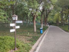 -新洲生态园