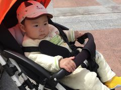 -西北湖绿化广场
