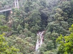 -九龙江国家森林公园