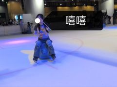 -TheRink大零溜冰场(IFS国金中心店)