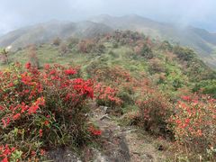 -广东天露山旅游度假区