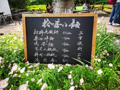 -田园东方蜜桃村的田野营地