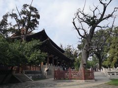 -晋祠公园